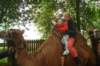 harrymalter016_small.jpg